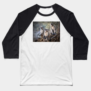 Three Gray Langur monkeys sitting Baseball T-Shirt